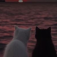 اسمان